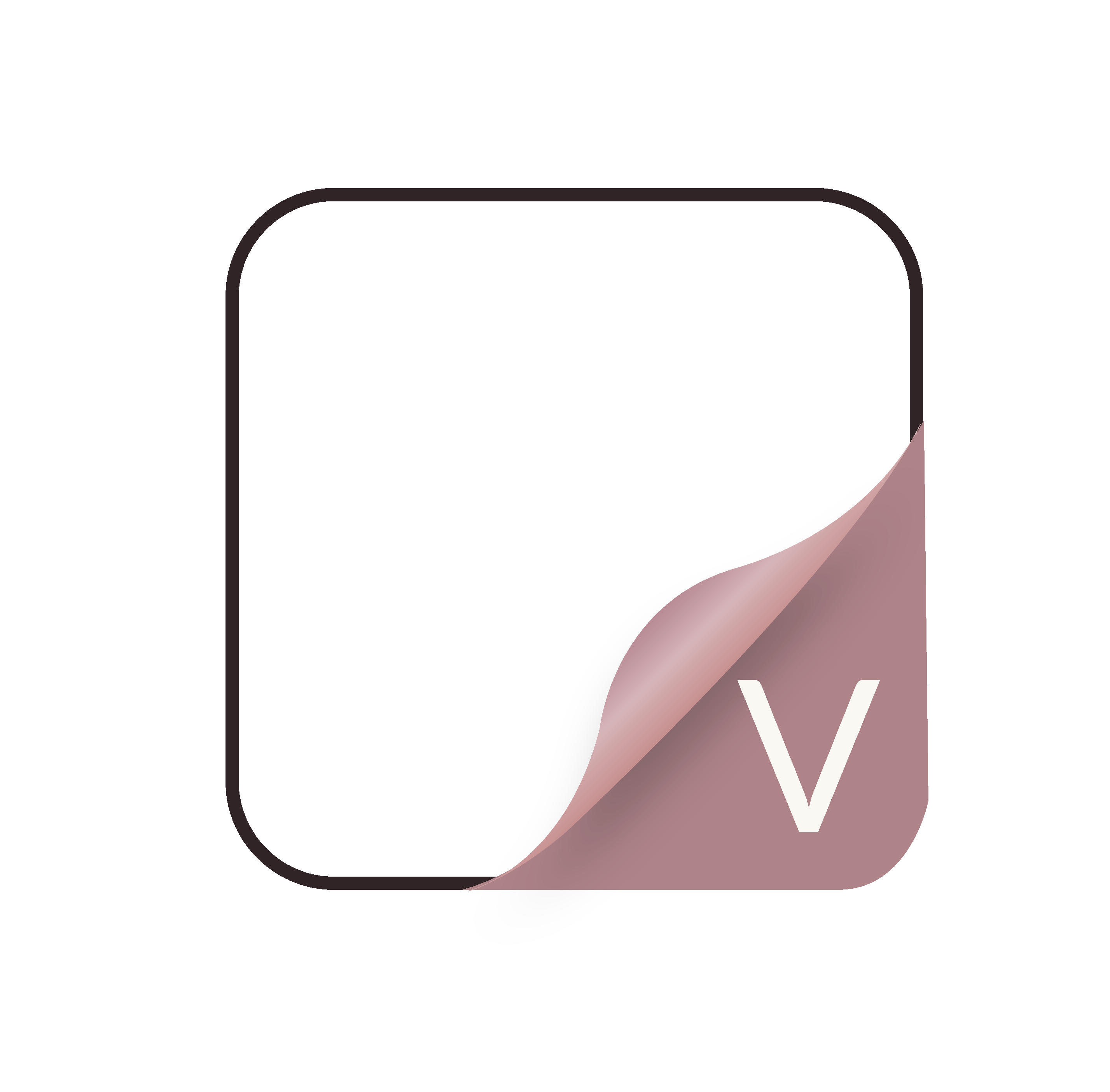 Vision Meditech Group logo
